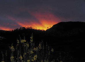 Crepúsculo