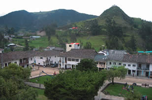 El parque con su vegetación