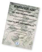 monografia