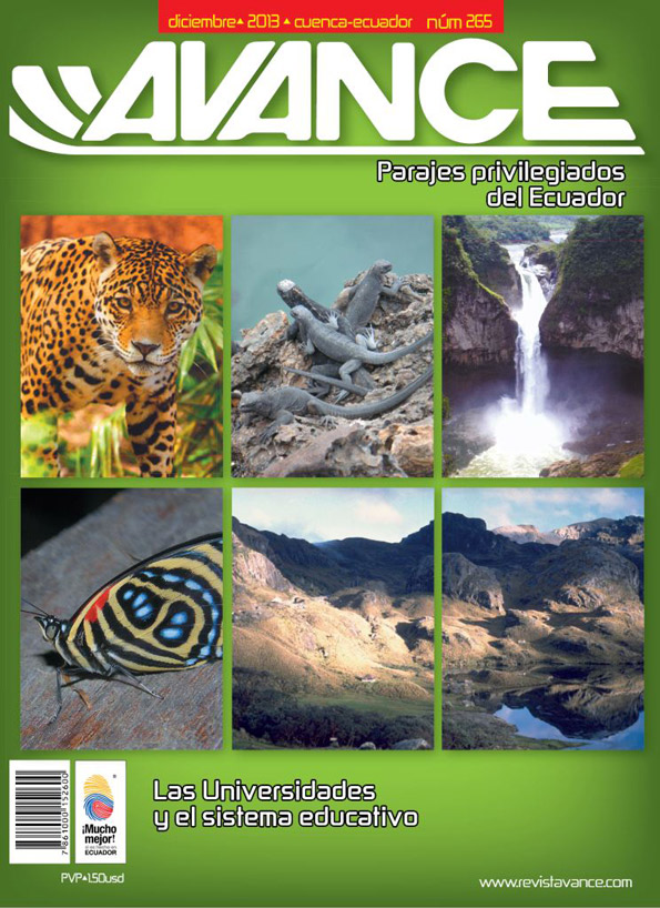 Portada de la Revista Avance del mes de Diciembre de 2013