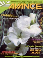 Portada Revista Avance Enero 2001